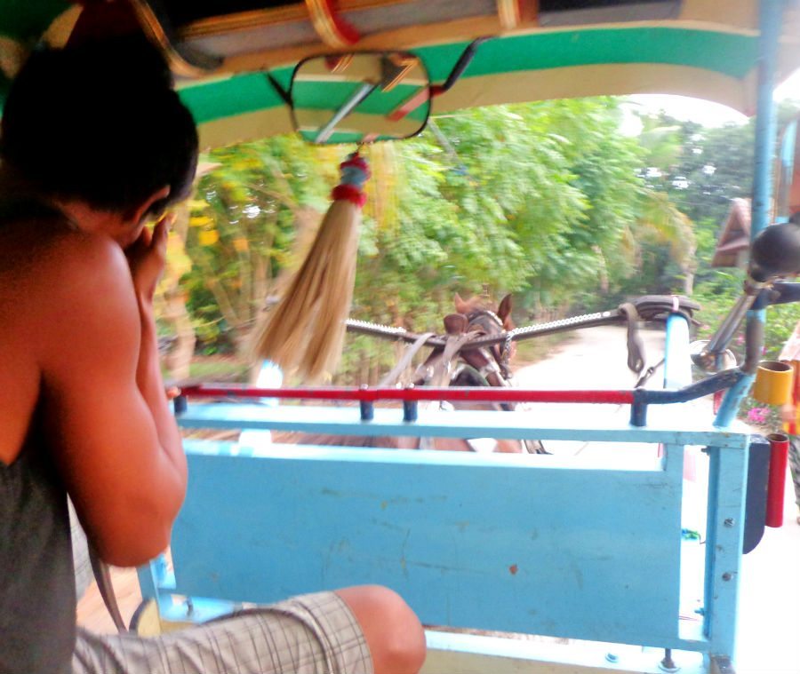 Riding in the cidomo (horse cart) can be an experience