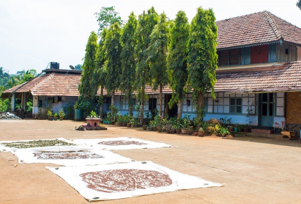 Visiting the Ancestral House at Pranavam Homestay