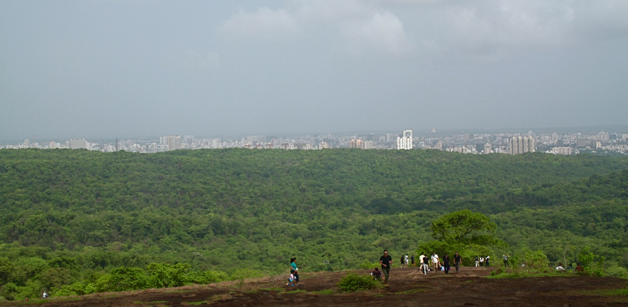 things to do in mumbai Sanjay Gandhi National Park