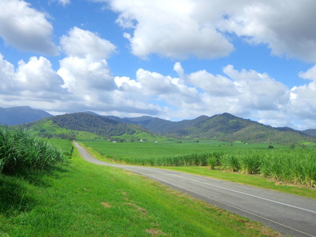 Sugarcane country Queensland