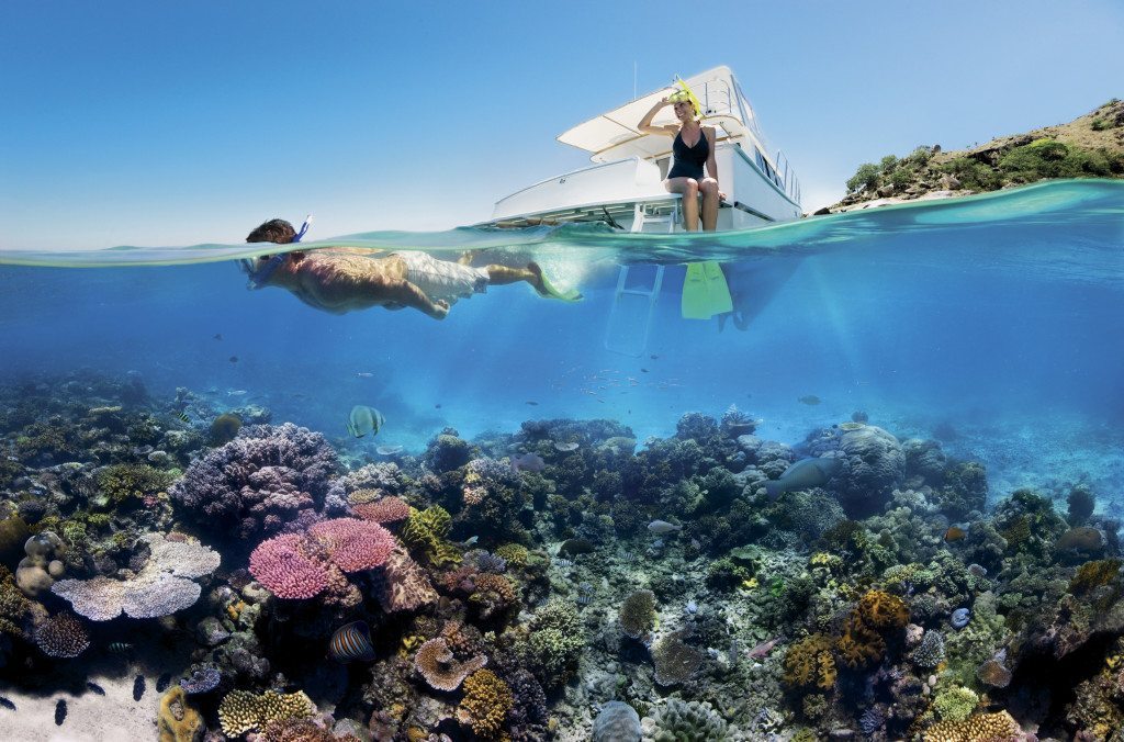 snorkeling on the Great Barrier Reef near Cairns