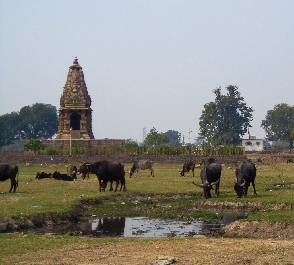exploring rural indian life in the countryside around Khajuraho