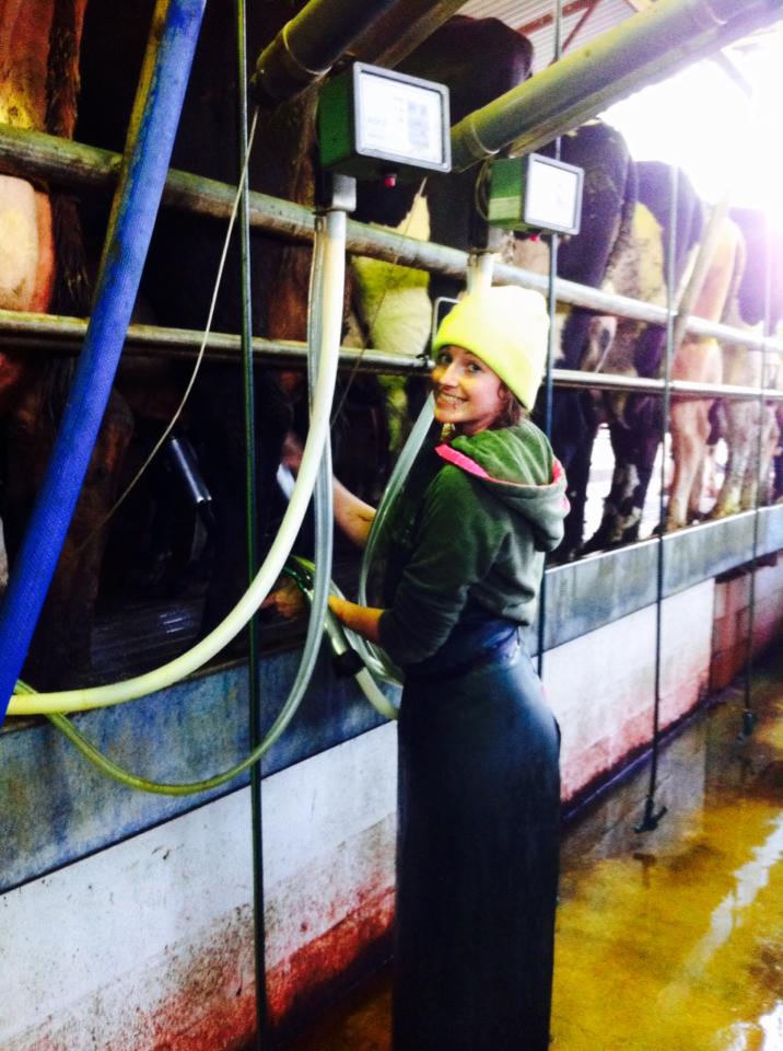 Melissa at work on the dairy farm