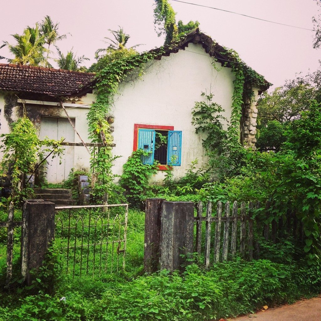 This house looks like it is being reclaimed by the jungle!