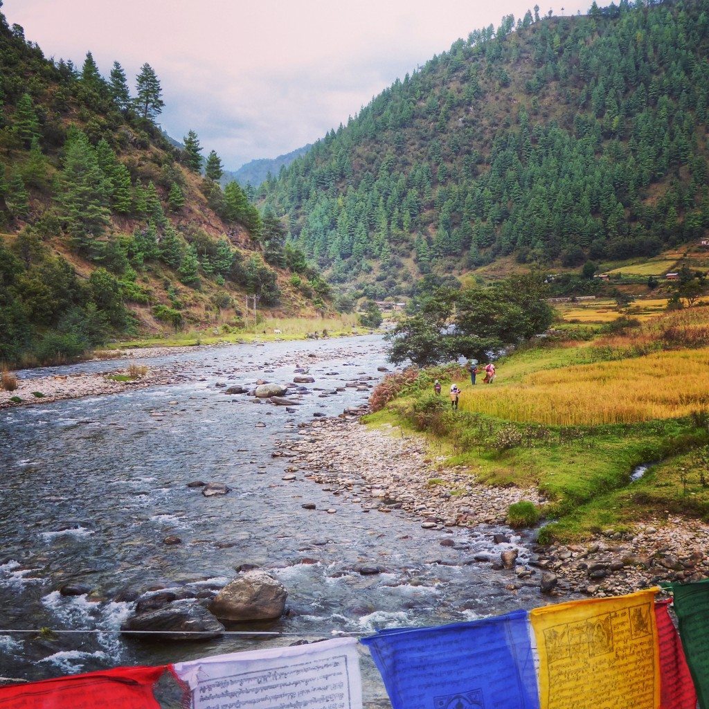 River Valley in Arunachal Pradesh