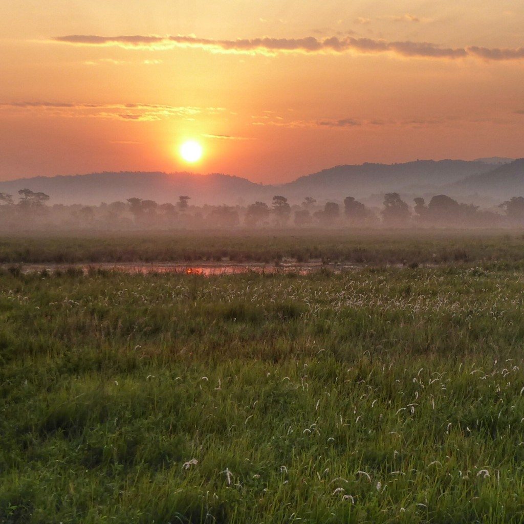 sunrise in Kaziranga National Park, Assam,