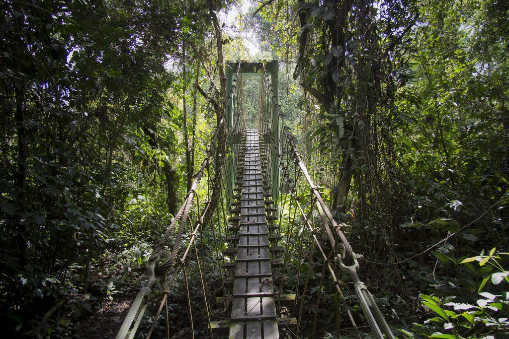 mulu national park borneo
