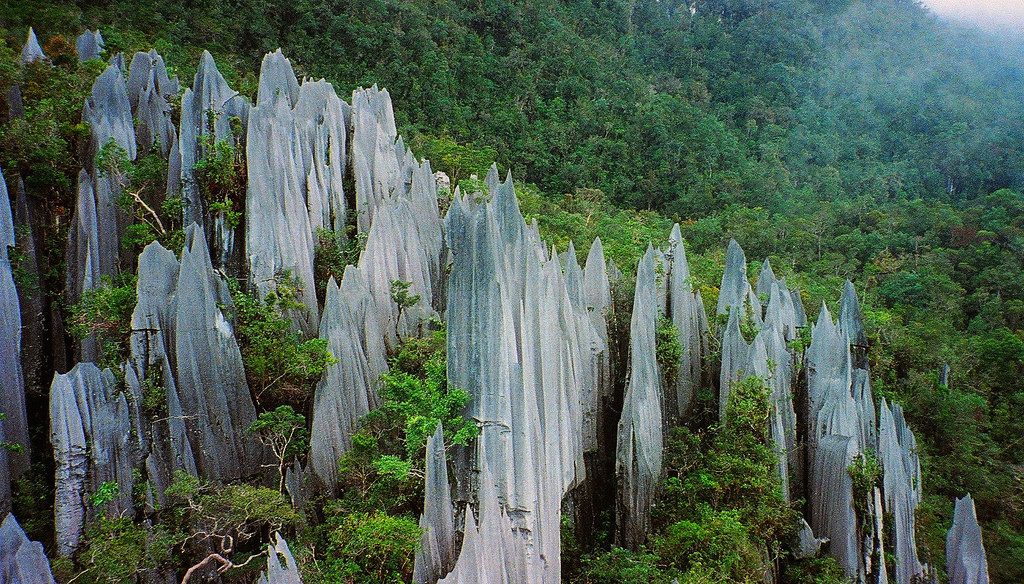 the pinnacles at mulu national park borneo malaysia