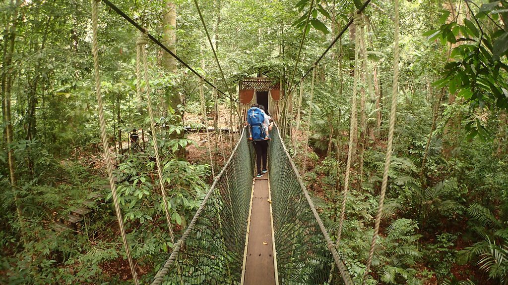 taman negara bridge
