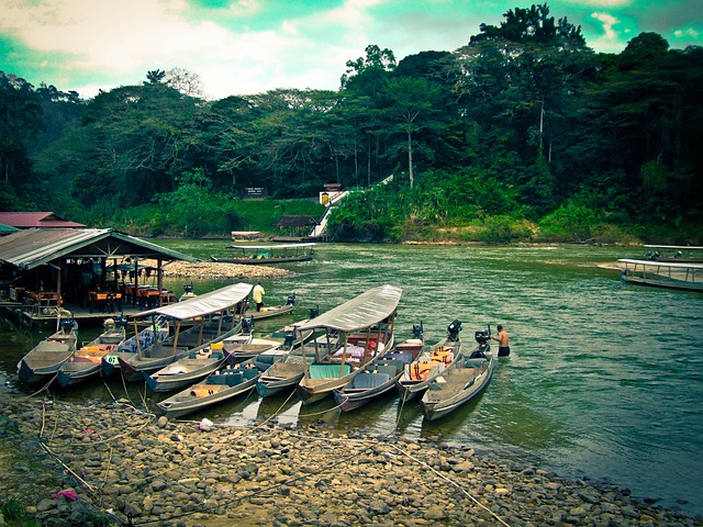 taman negara national park malaysia