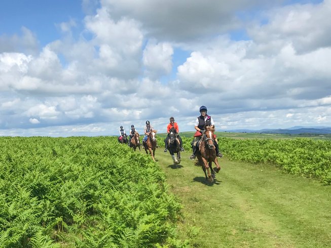 freerein horse riding holidays in Wales, UK