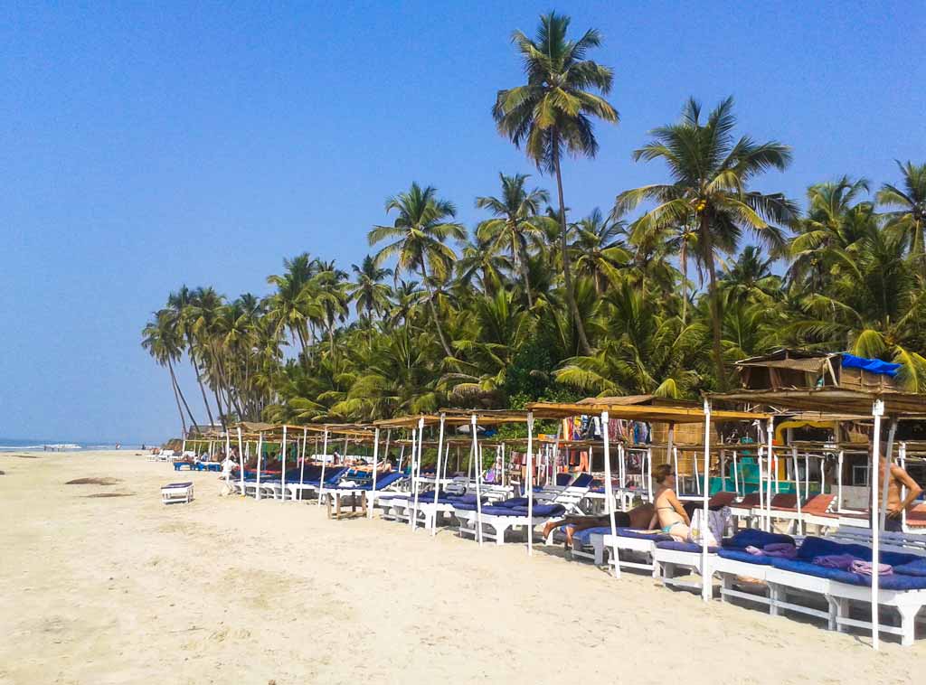 ashvem beach north goa travel guide