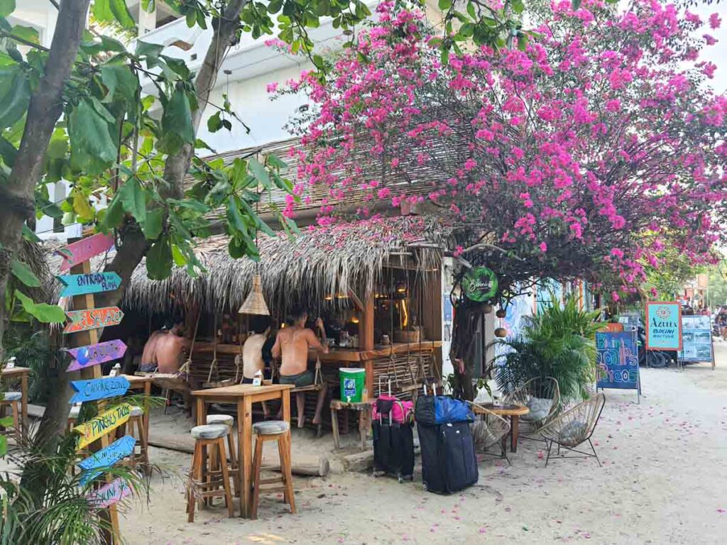 Puerto Escondido mexico la punta bar pink flowers