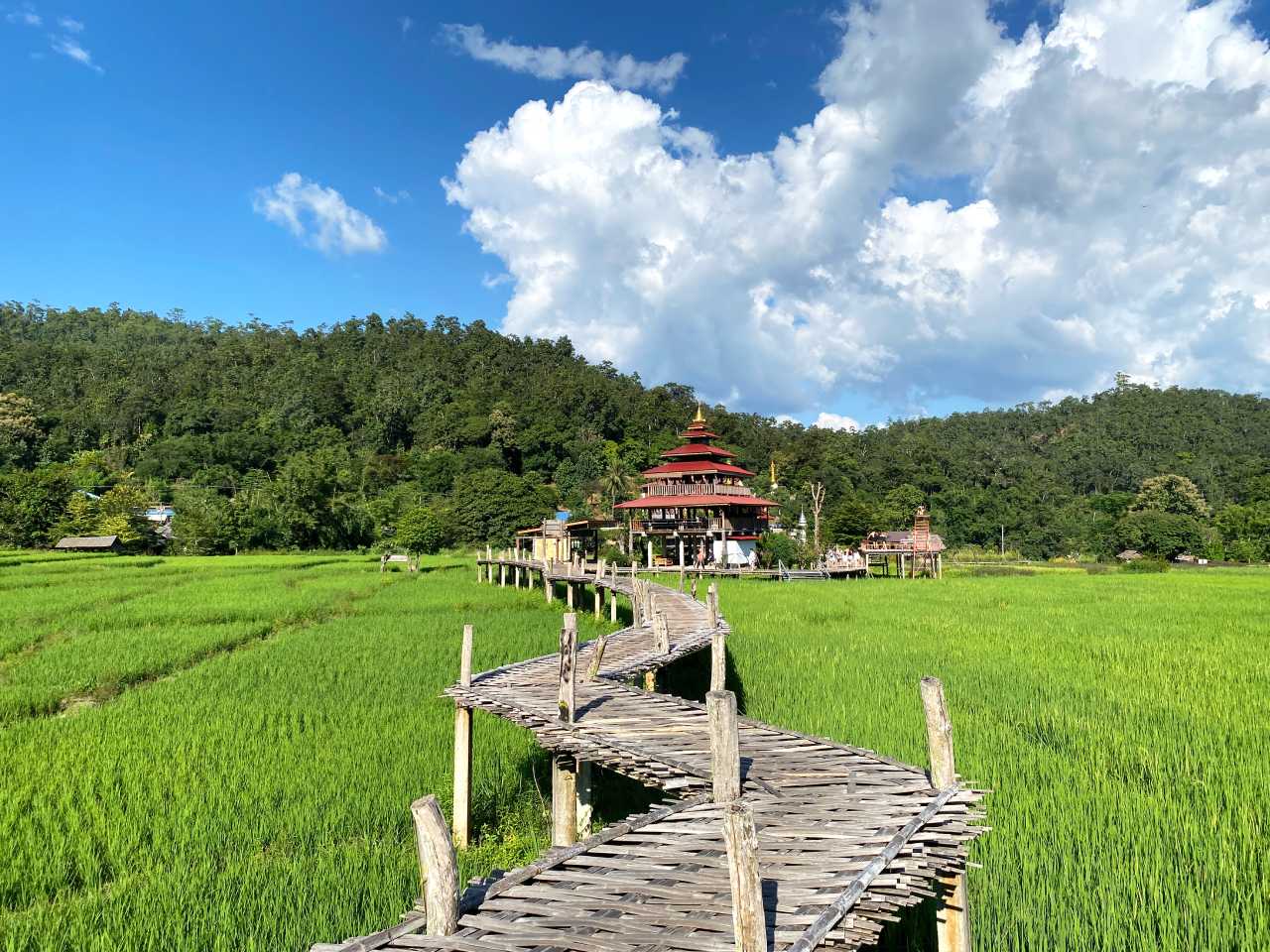 bamboo bridge pai