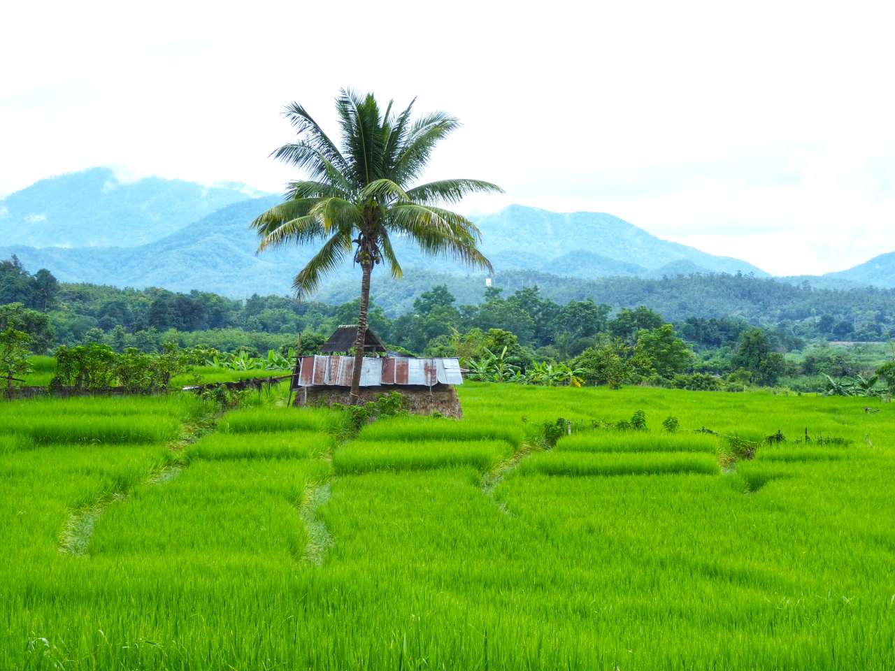 pai countryside